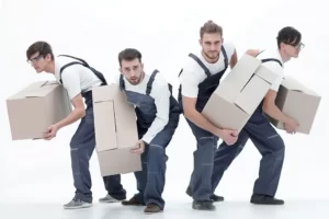 Hire Professional Movers