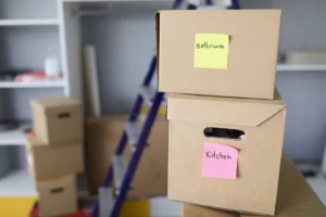Label and Organize Boxes