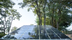 Invest in Solar Panels