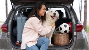 Make Travel Arrangements for Your Pet