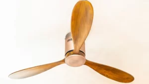 Use Energy-Efficient Ceiling Fans